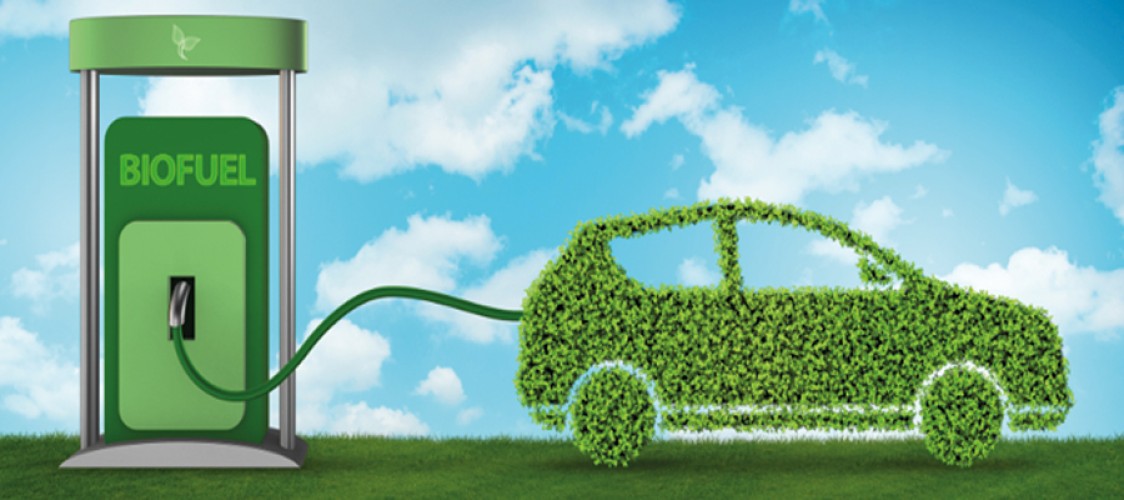 Feature on Biofuel Basics